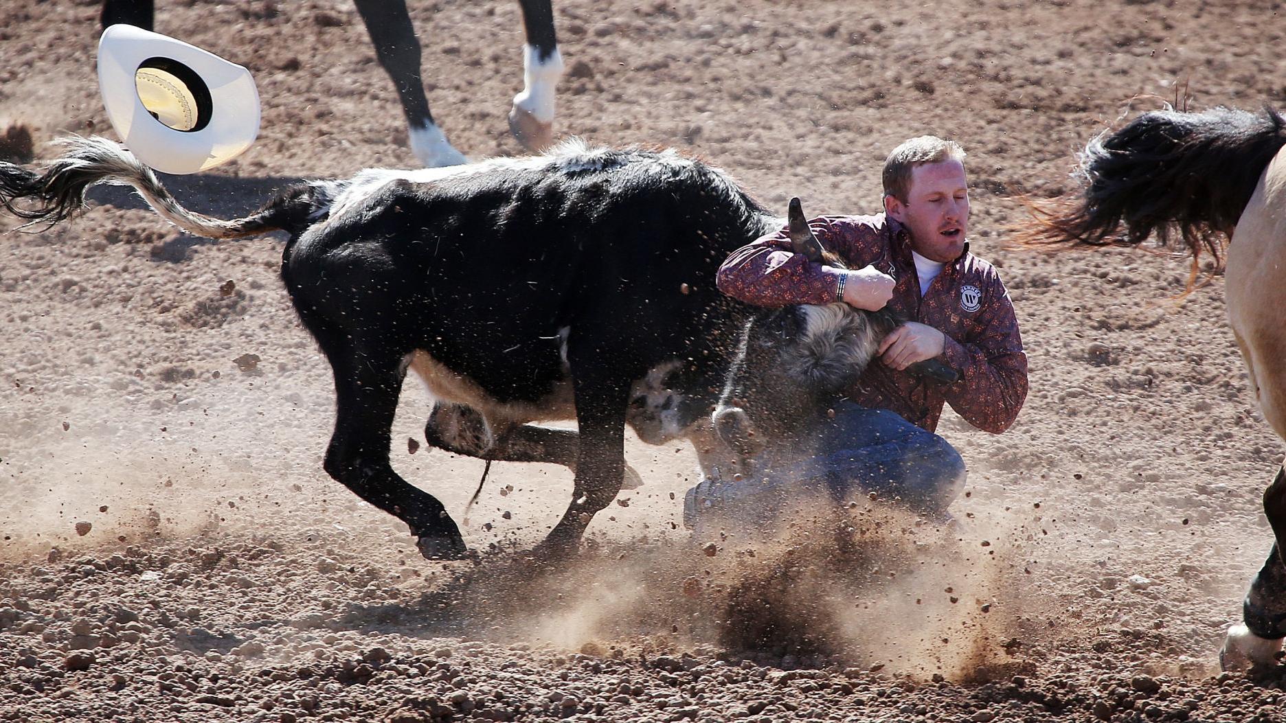 Animal rights activists push TUSD to consider renaming "rodeo break"